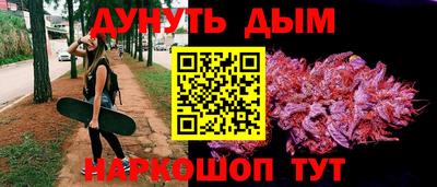 шишки Дубна