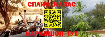 шишки Дубна